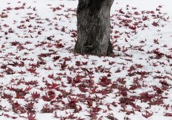 herfstdepressie winterdepressie