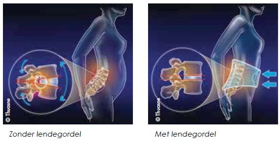lendegordel werking lendegordel werking