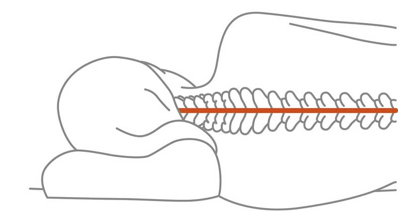 ergonomische slaaphouding ergonomische slaaphouding